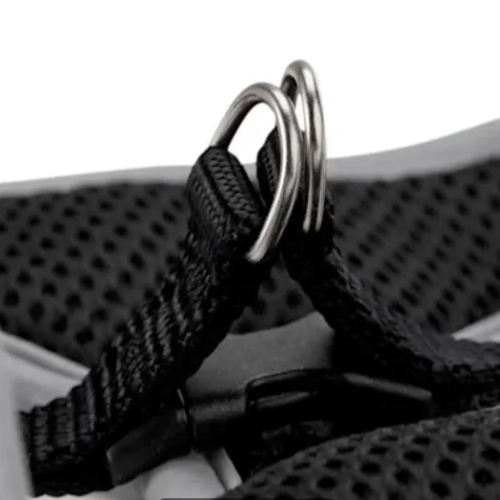 NWOT Youly Cat Harness Leash Set